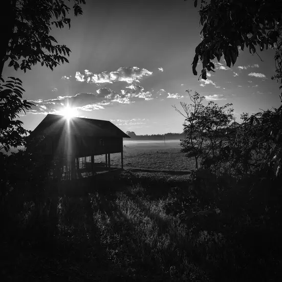 Majuli, Assam images in black-and-white by Karthik K Samprathi