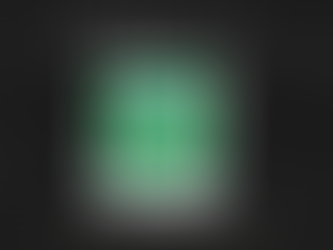 Scholarship program: 3rd recipient