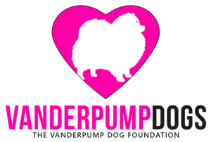 logo+5+9+(1).png