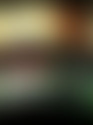 SIN NEGATIVO 3. CORTOMETRAJES