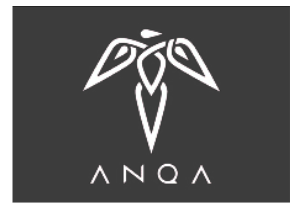 Brands Aaliyah worked with - ANQA