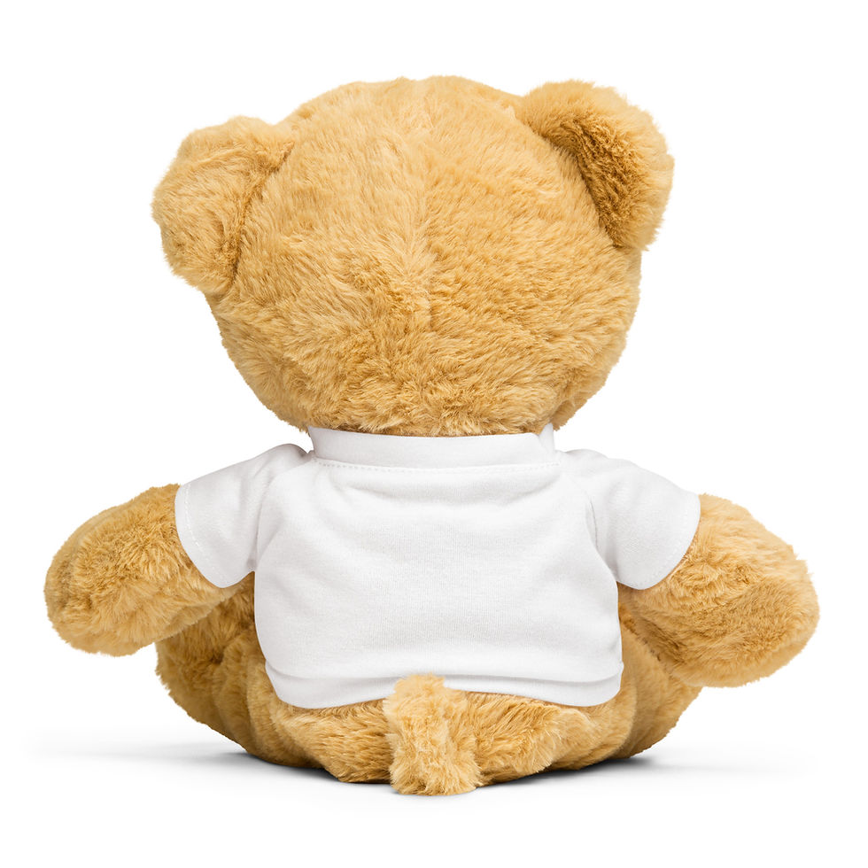Thumbnail: Limelite Teddy bear with a t-shirt