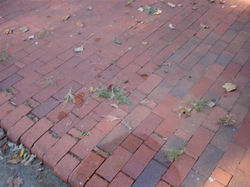 Paver - Before