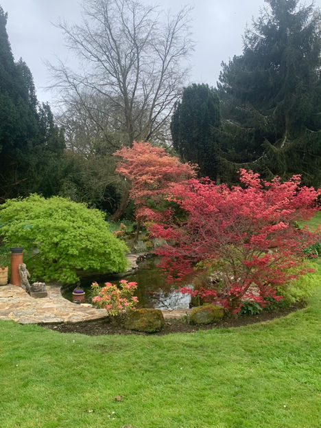 REGULAR GARDEN MAINTENANCE