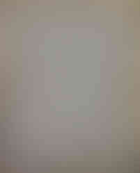 Mushroom Pencil Drawing