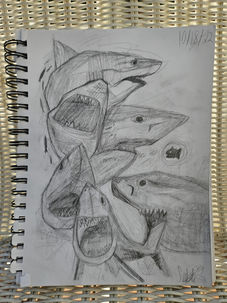 Shark Pencil Drawing
