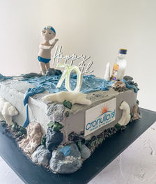 rock pool cake with a swimming figurine with polar bears gin and rocks for a male's 70th birthday Sydney cakes Sutherland shire cakes gluten free cake