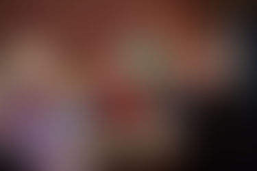 DaDOM Erasmus+ project Update