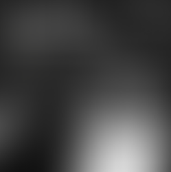 Newsletter September 2023