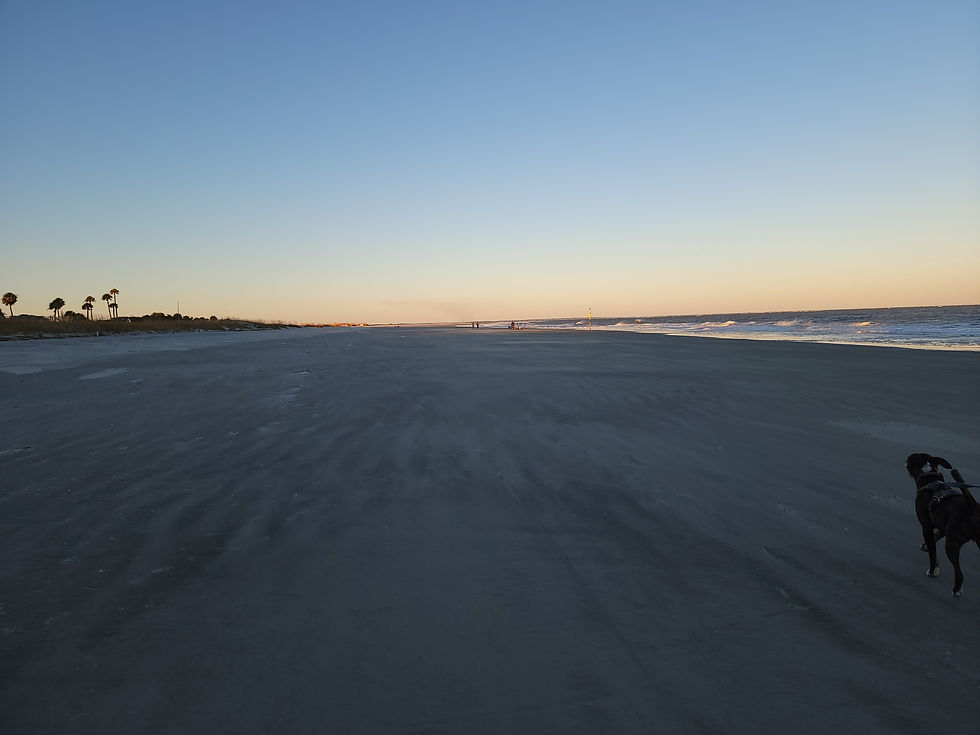A weekend at Hunting Island