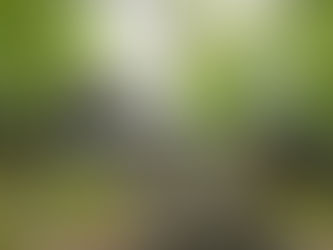 2025 Camping in Review