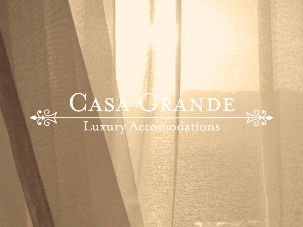 More mockups (4).gif