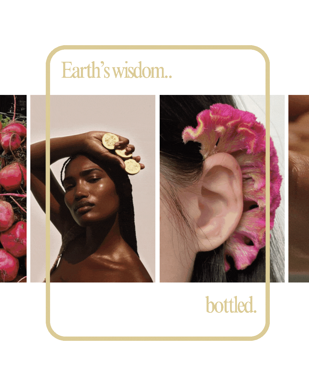 Neutral Modern Animated Photo Gallery Year Highlights Carousel Instagram Post (2)-min.gif