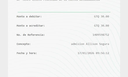 Ejemplo Boleta.jpg
