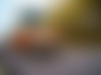 Smart Growth, Lower Taxes: Building a Stronger Parkland County