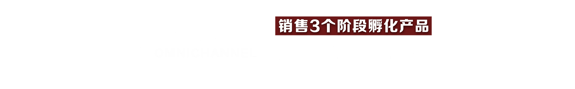 11.png