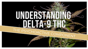 Delta-9 THC in Texas A Guide to Cannabis's Key Compound
