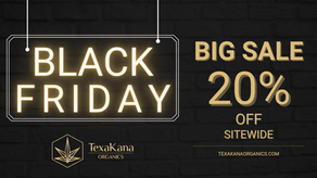 The Best Black Friday Deals at TexaKana: Holiday Savings Await