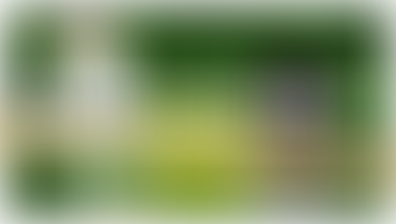 Embrace the Luck of the Irish: Your Guide to St. Patrick's Day