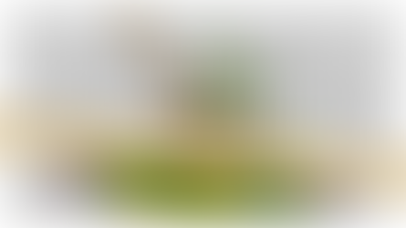 Colorful terpene-rich cannabis plants and herbs under text reading ‘How Terpenes Influence Your High: More Than Just Aroma