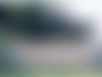 Fort Knox's Limited Audit History: A Legacy of Uncertainty