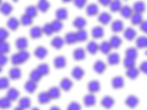 IMG_0210.GIF