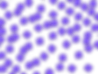 IMG_0210.GIF