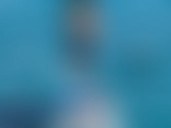 Unexpected Adventure in Paradise: How I Came to Spend the Day with a Bahamian Legend