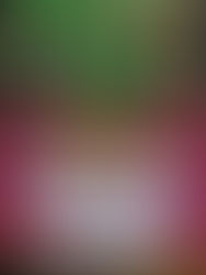 Oregon Cider Week Event - Schilling Cider and Olympic Provisions Charcuterie Tasting.