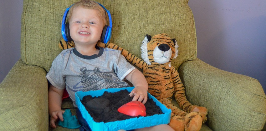 Tame Your Tiger Regulation Program