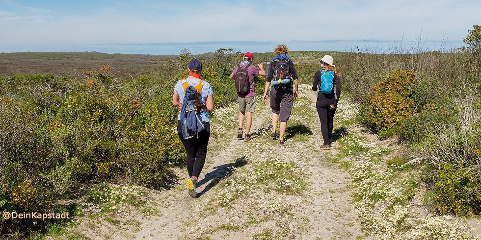 Wandern in der Gruppe ist sicherer und geselliger