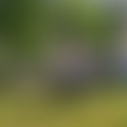 Der Sommer, der Sommer, das ist die schönste Zeit!