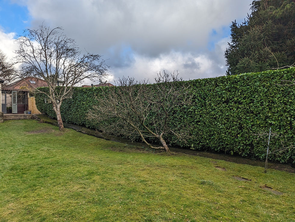 PXL_20240216_145119809