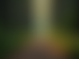 Essential Steps to Spiritual Awakening