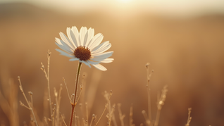 Understanding Scarcity Impact: The Scarcity Pain Matrix for Growth