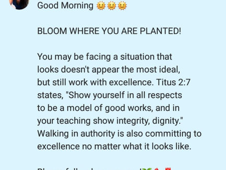 Bloom Where You Are Planted!