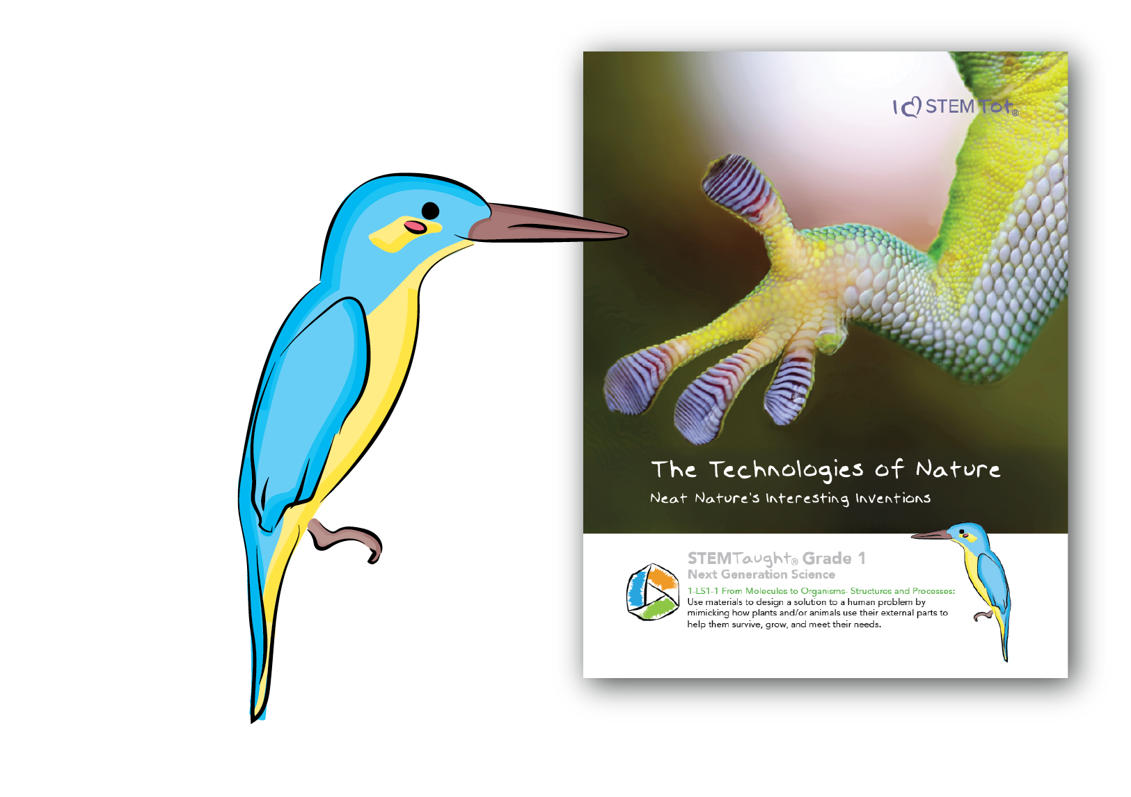 The Technologies of Nature