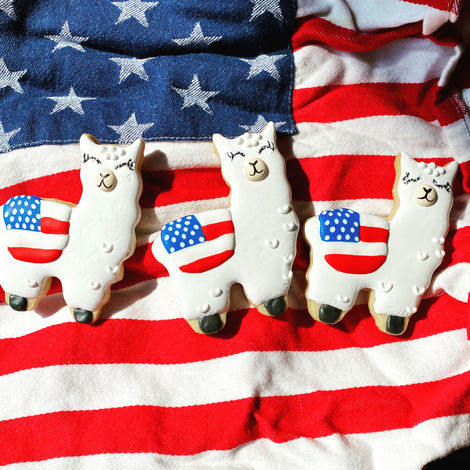 4th of July Llamas