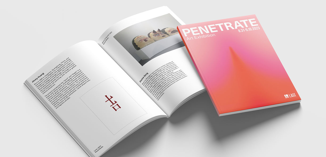 penetrate handout mockup1.jpg