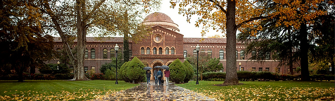 Screenshot 2024-02-25 175047.png