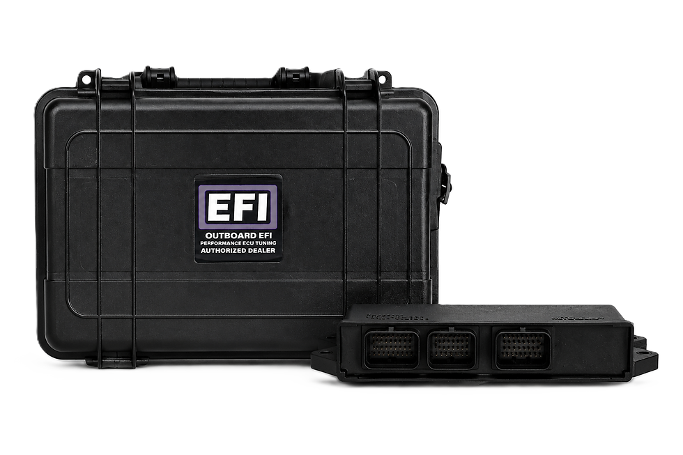 Outboard EFI Case and ECU.png