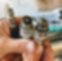 Hand holding two dirty spark plugs and a metal connector, close-up in a workshop, showing wear and grime.