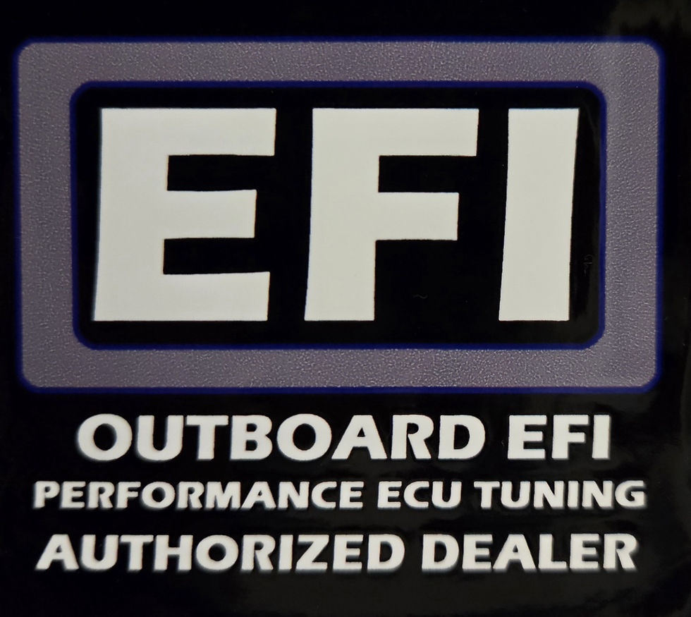EFI logo on black with white text: OUTBOARD EFI, PERFORMANCE ECU TUNING, AUTHORIZED DEALER