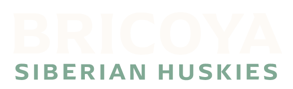 Artboard 70 copy 2.png