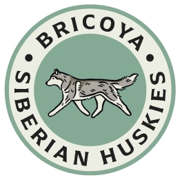 Artboard 40 Copy.png