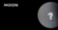 MOON Art.jpg