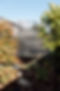 Rotorua Oasis-76.jpg