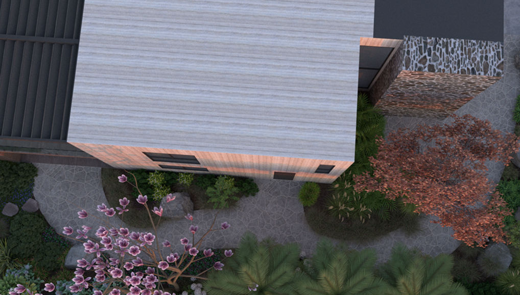 Top View_edited.jpg