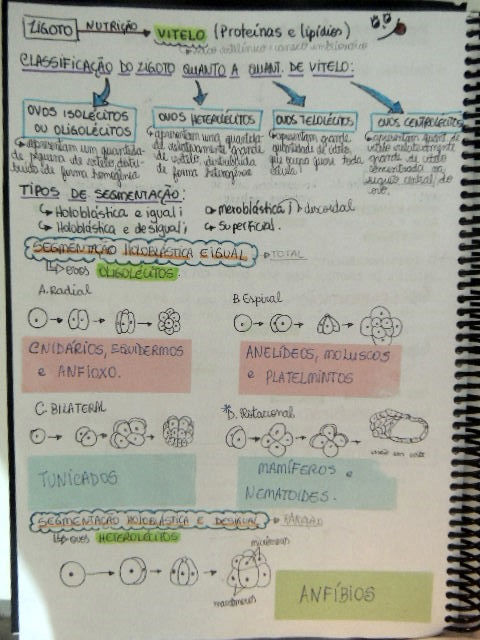 DSCN8440.JPG
