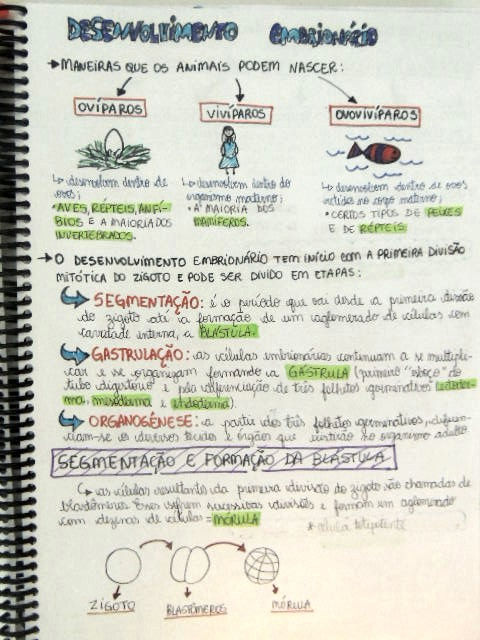 DSCN8439.JPG